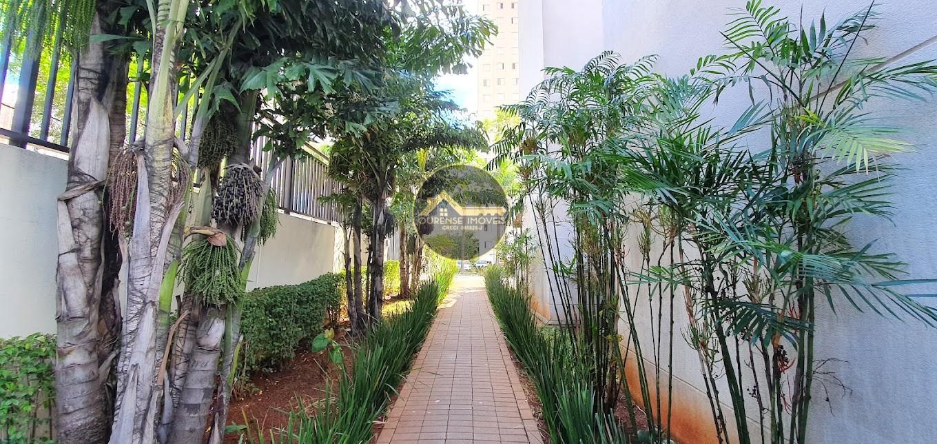 Apartamento à venda com 3 quartos, 56m² - Foto 2